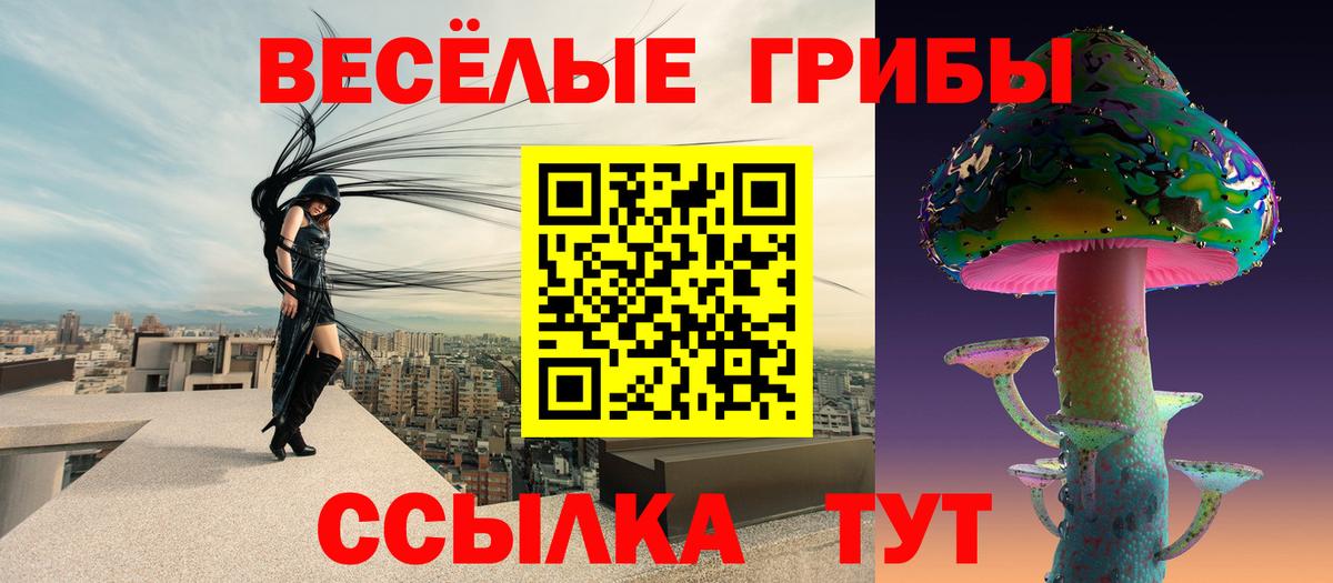 Галлюциногенные грибы мухоморы Кашира