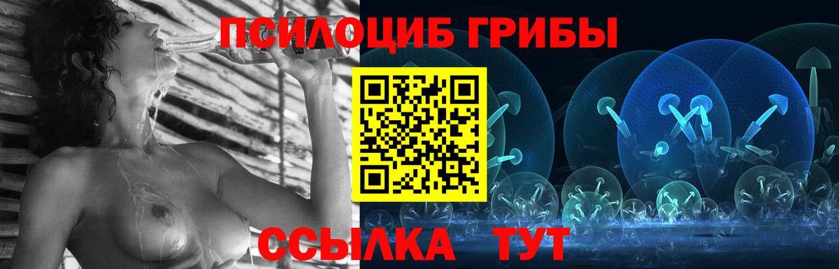 Кашира  наркошоп  Вход с VPN  Галлюциногенные грибы MAGIC MUSHROOMS 